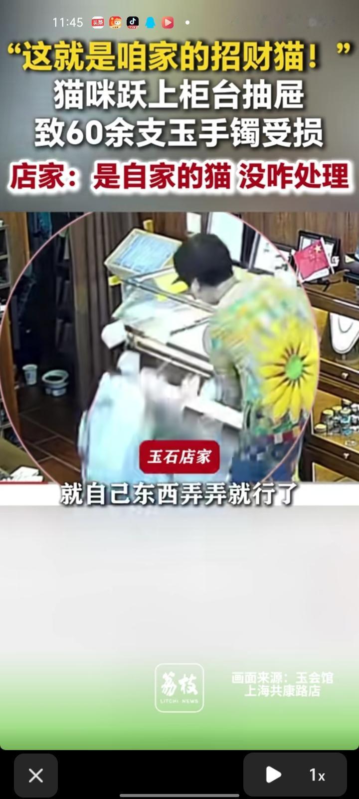 7月6日，上海。网友发视频称，翡翠柜台的抽屉是打开的，自家猫咪跳上抽屉，导致60