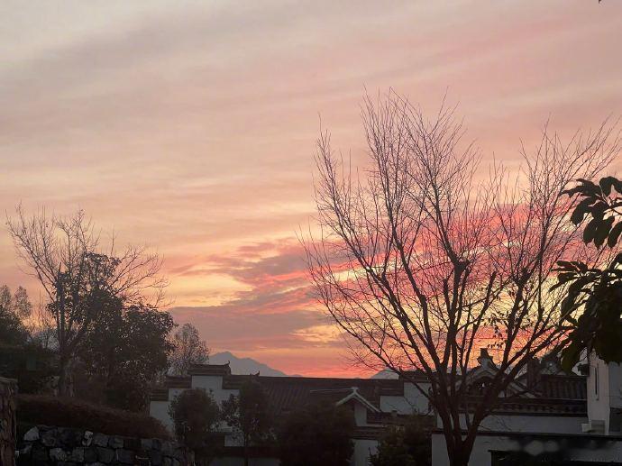 杨紫也在看国色芳华  杨紫最近的生活边角  紫妹更新微博追《国色芳华》 