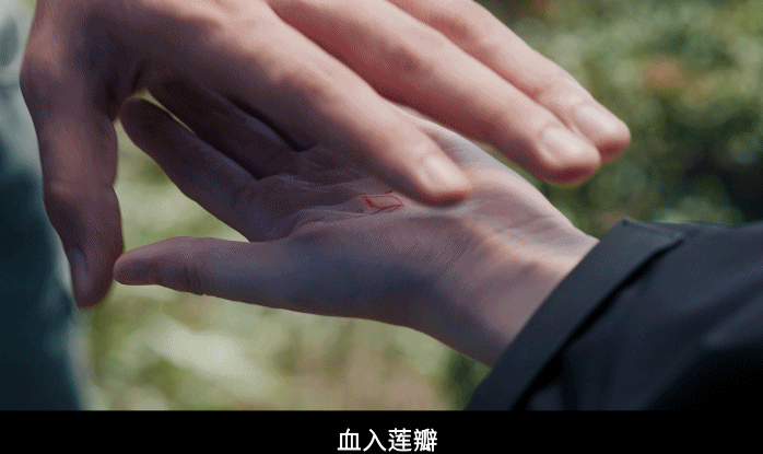 李木戈带着景甜张彬彬又杀回内娱司藤夫妇回归，太期待了《龙骨焚香》快点播出[哇] 