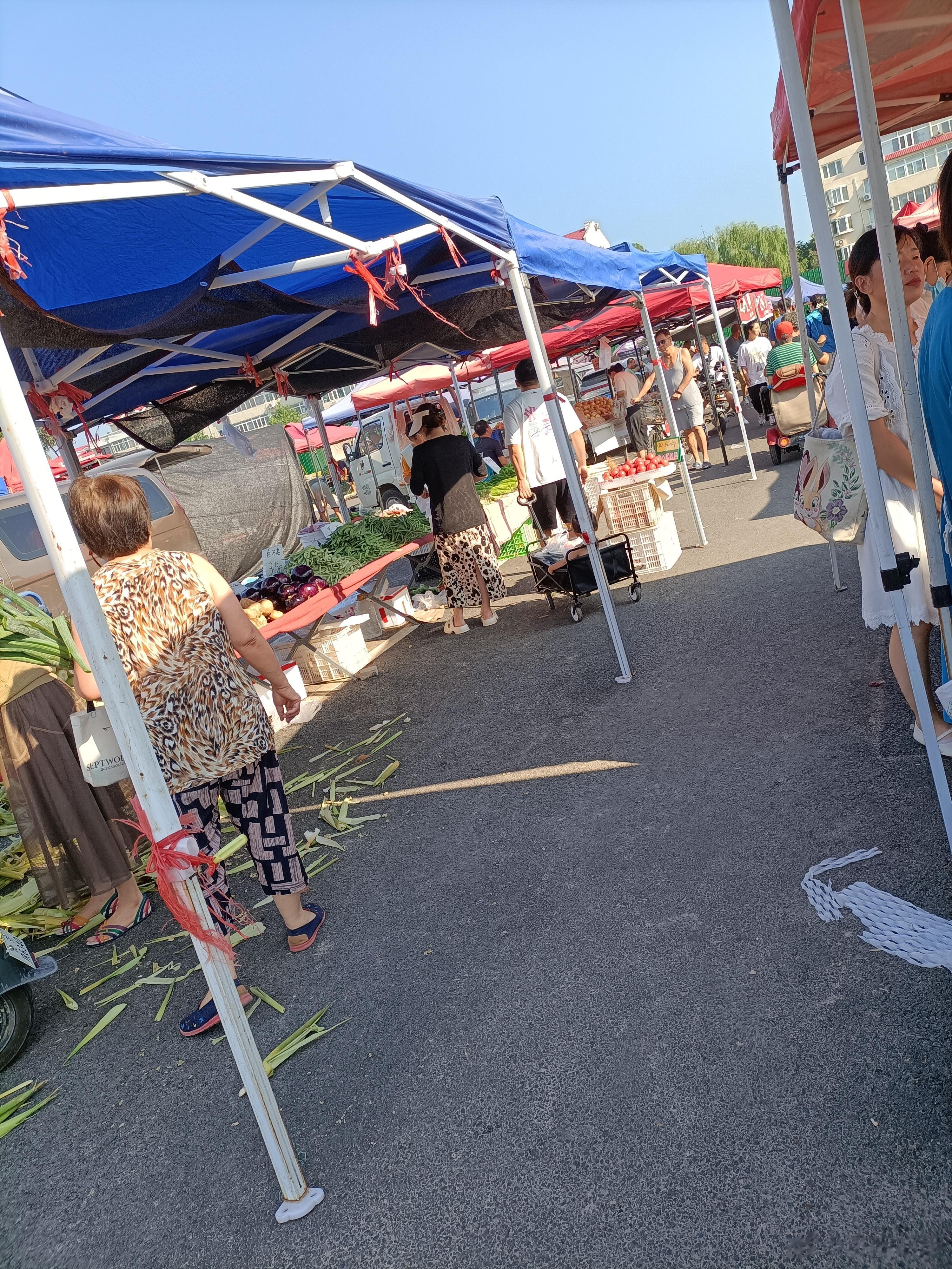 #赶集# 露天市场：连天阴雨后的蔬菜并没涨多少价，有些品种还特便宜，也不称了5元