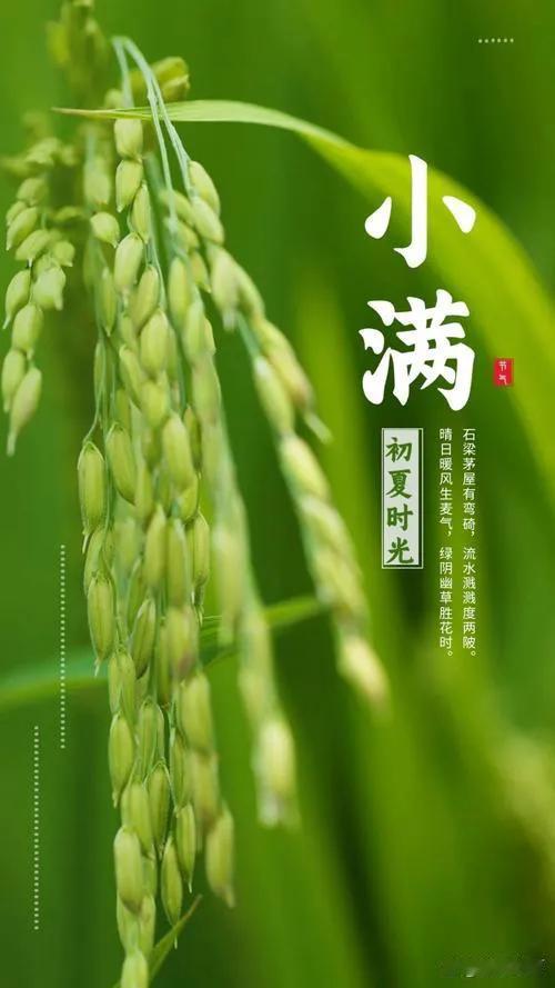 小满不只是节气！这些改写历史的大事，竟都发生在此时！
 
别以为小满只能聊丰收和
