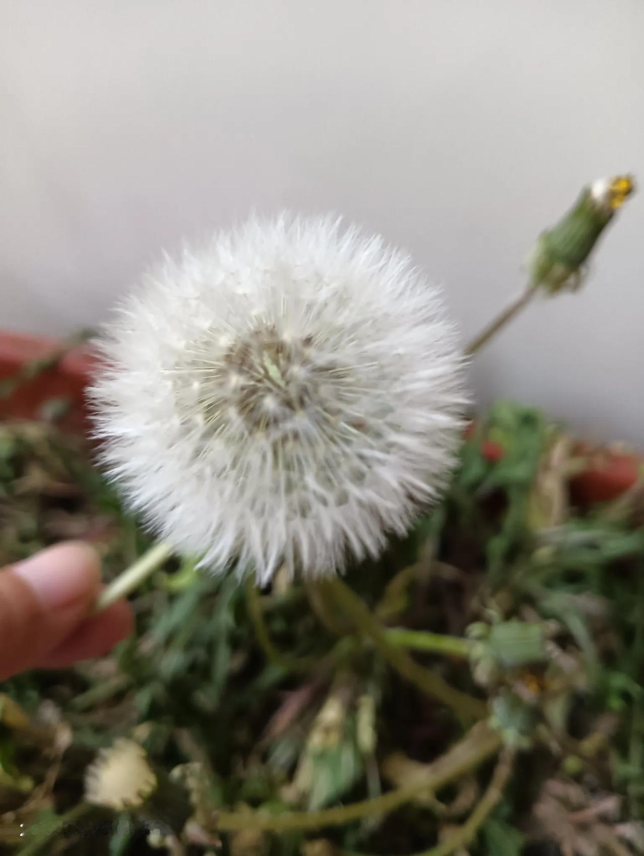 寿命短的人也有一些共性：
1、住的房子风水不好。
二十多年前，我们村有一所两间小