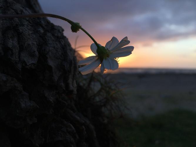 上联：临窗静听三更雨
下联：推门远眺五更曦