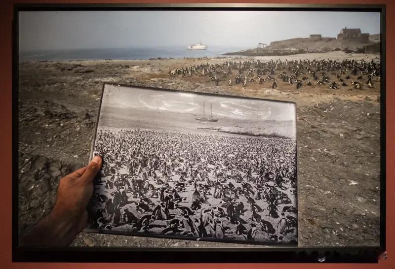 惊！牛弹琴称美国对日本愈发不耐烦，此言不无道理。12 月 12 日，日本防卫大臣