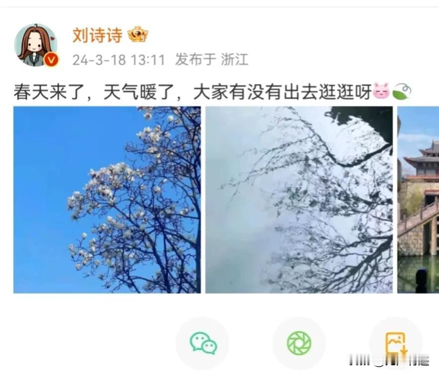 刘诗诗在浙江横店拍的“玉兰花”！
从图中琉璃般的天空看，当时的天气非常好，是出门