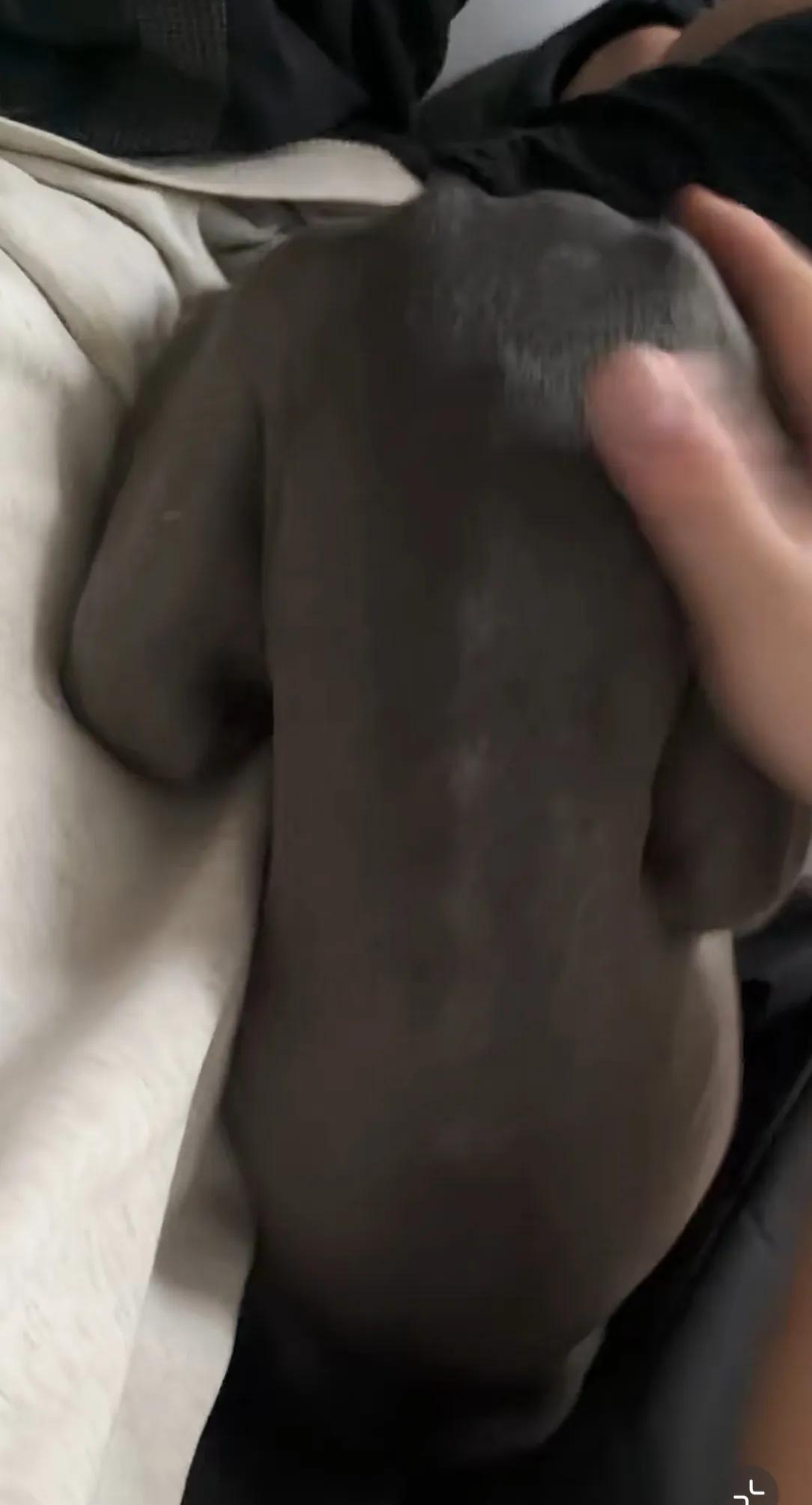 我不说的话，谁能看出我养了个啥？