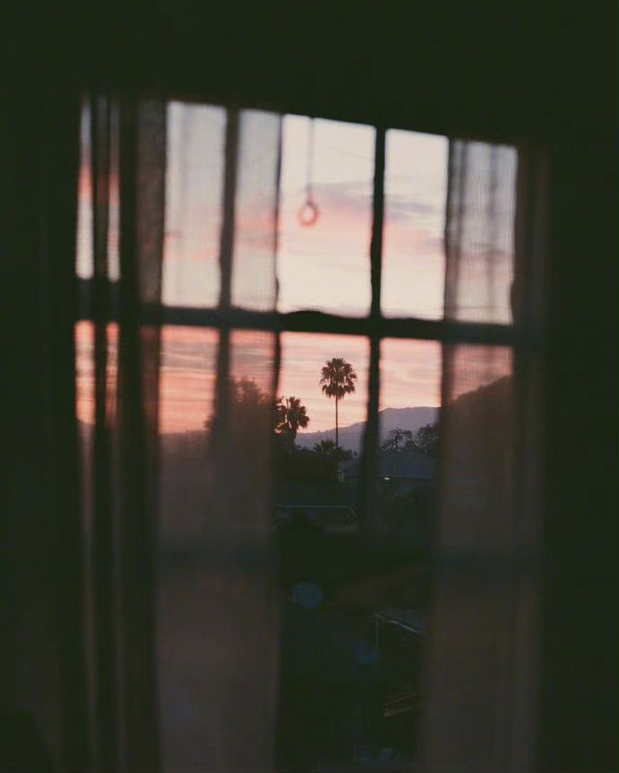 秋日薄暮，用菊花煮竹叶青，人与海棠俱醉。                    