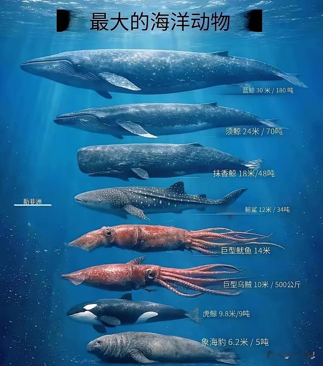 大集合，你觉得一样，其实都不一样。