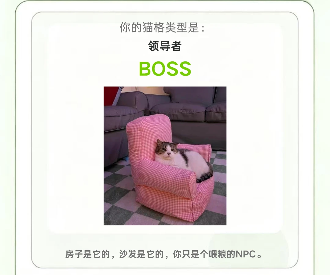 SBTI猫格测试｜来测测你家猫是什么猫格！