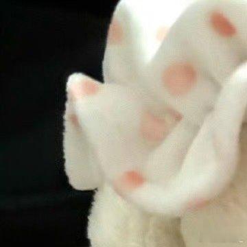 种植  0100菠萝种植技术如下：1. 土壤。菠萝对土壤要求不高，适合山地和平原