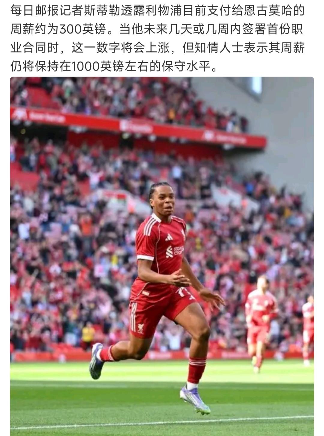 利物浦才给恩古莫哈300英镑周薪，马上签职业合同也不过1000英镑！！

小孩哥