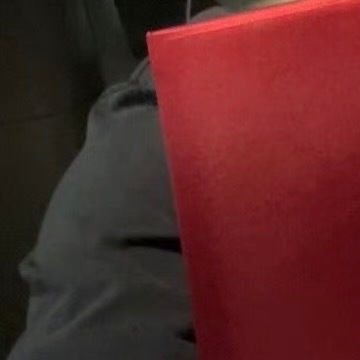 不必追求轰轰烈烈的奉献，平凡日常里的温柔体谅，才是最长久的善良。懂得体恤他人难处