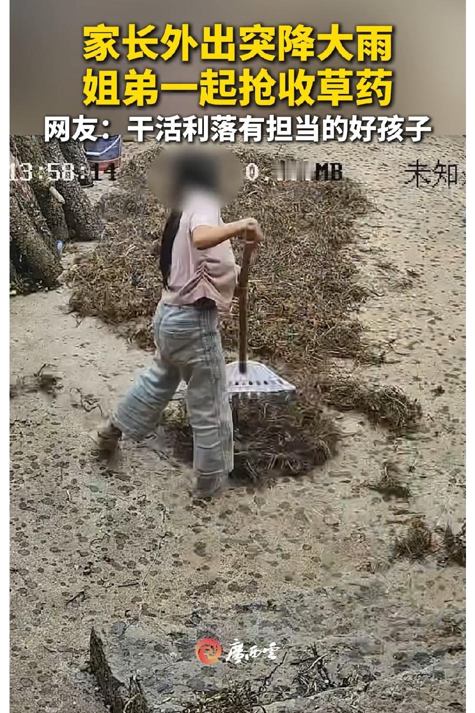 云南曲靖，大人临时外出，没想到天突然下起了大雨，院子里还晒着奶奶辛苦采的车前草，