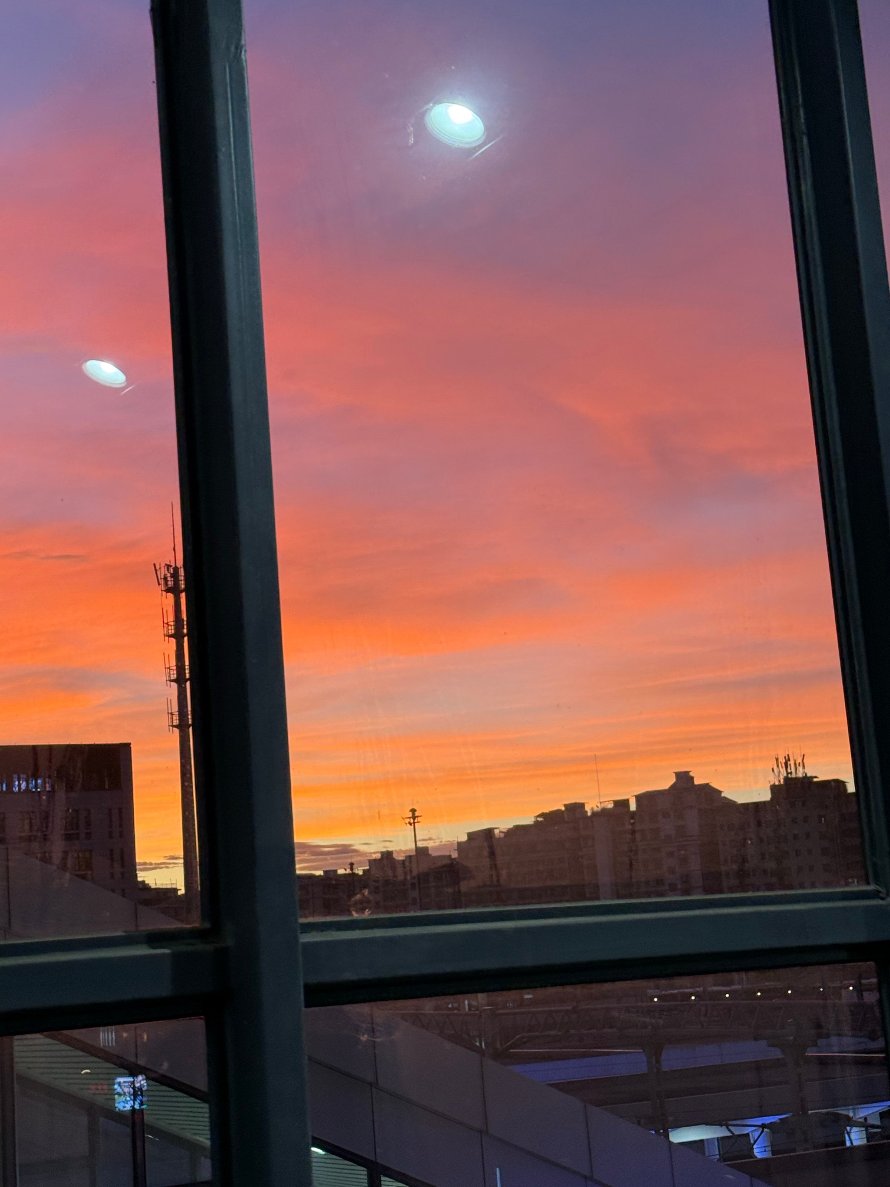请宝宝猪看夕阳日冠之后拍的​​​