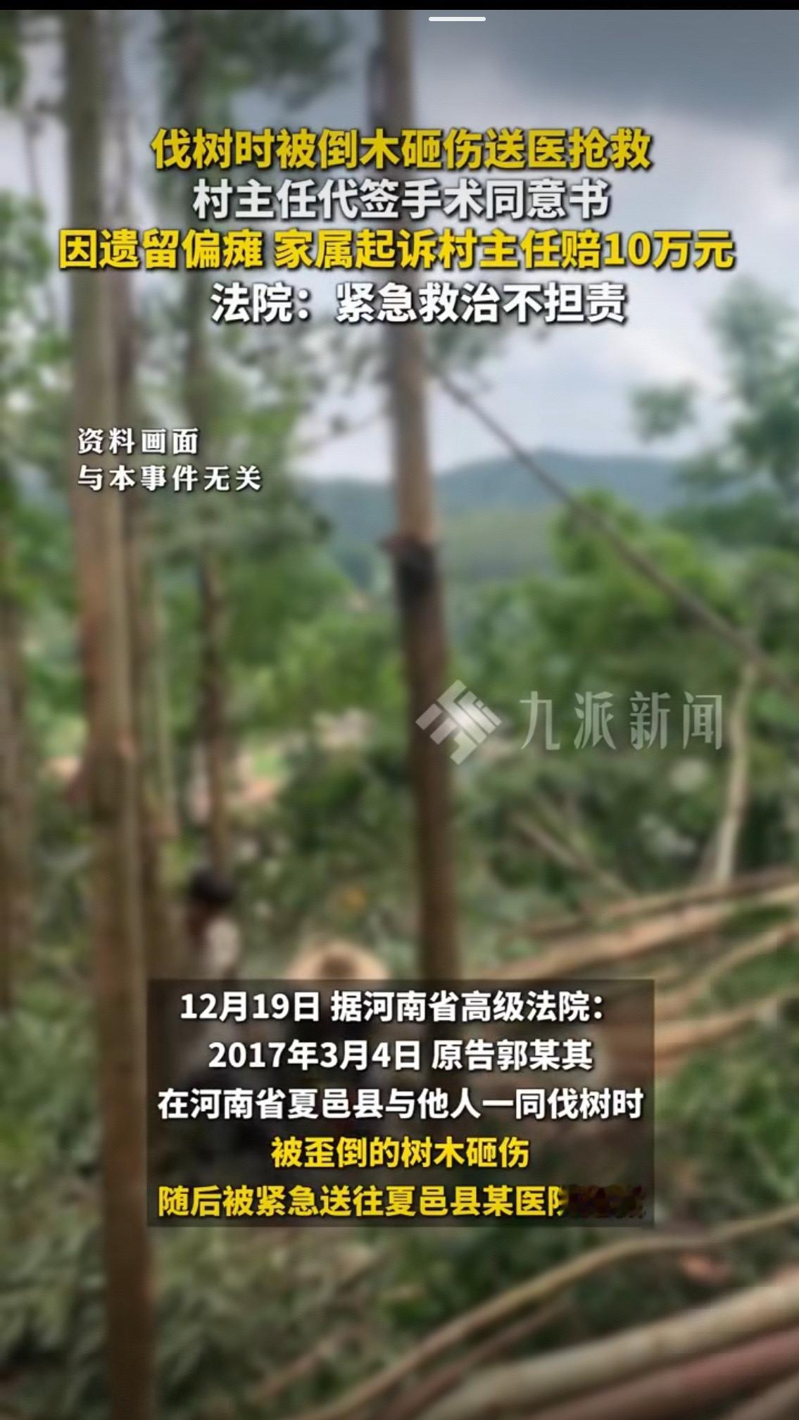 伐树砸伤偏瘫，家属索赔10万！村主任代签手术同意书到底该不该担责？
 
伐树时被