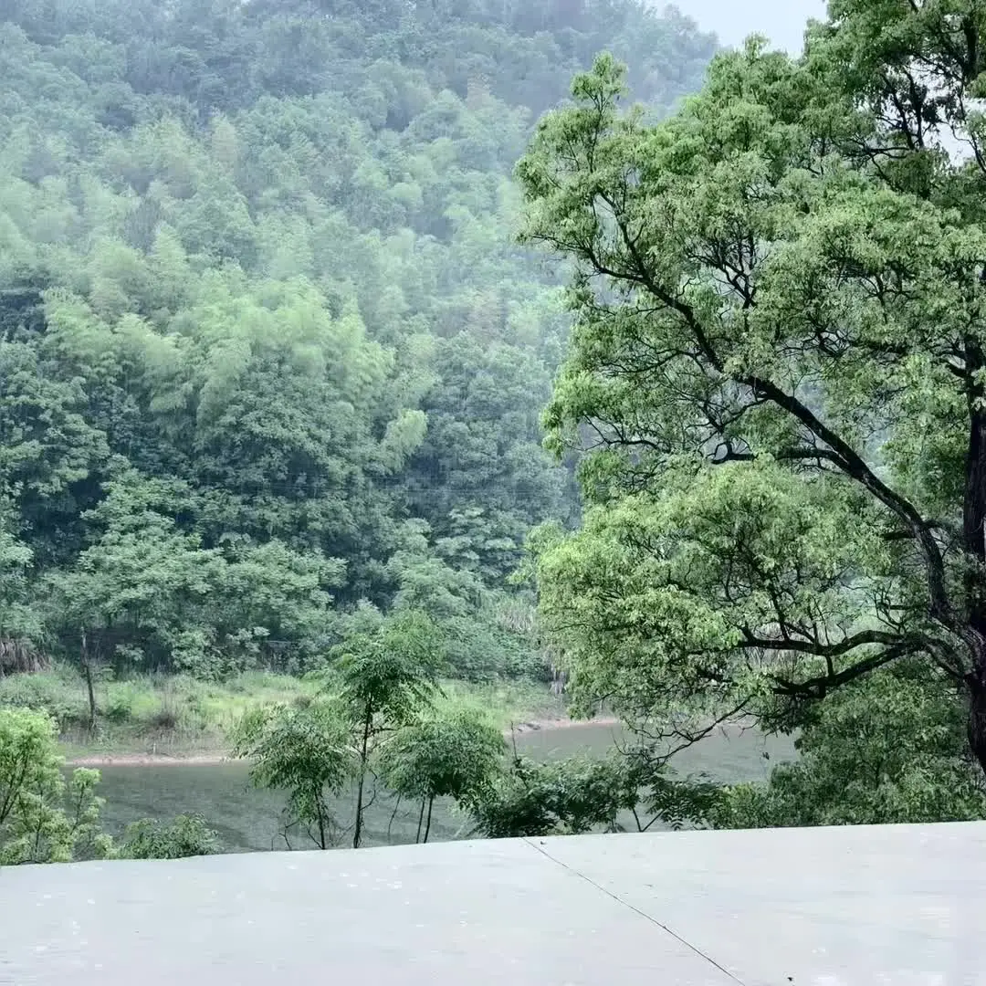 大山深处自然美