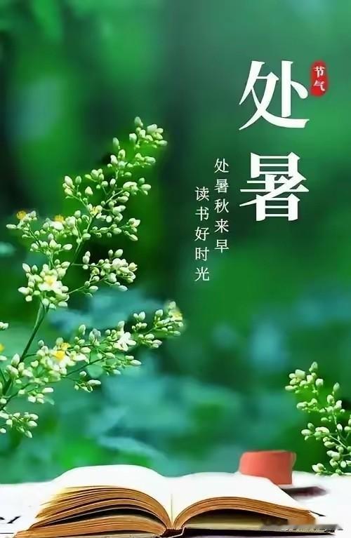 提醒各位
明天8月23号了。老话说：处暑天还暑，好似秋老虎；处暑无三日，新凉直万
