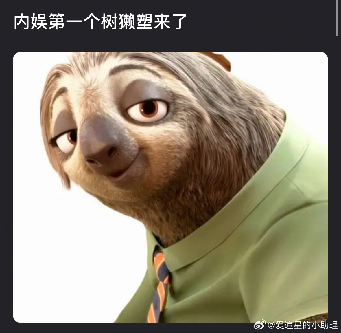 邓为被说撞脸树懒，看着像嘛？[允悲] ​​​