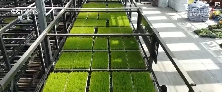 农业科技进步贡献率超64%!2025年中国农业交出“硬核”成绩单