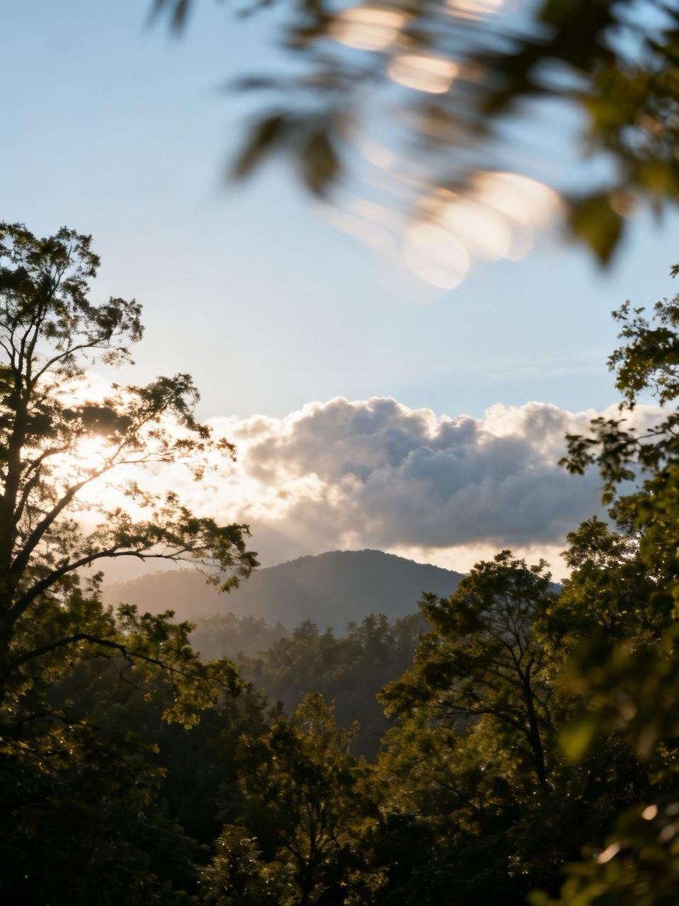 2026年4月，体育圈炸锅了，两届奥运羽毛球混双冠军、中国羽毛球协会主席张军“失