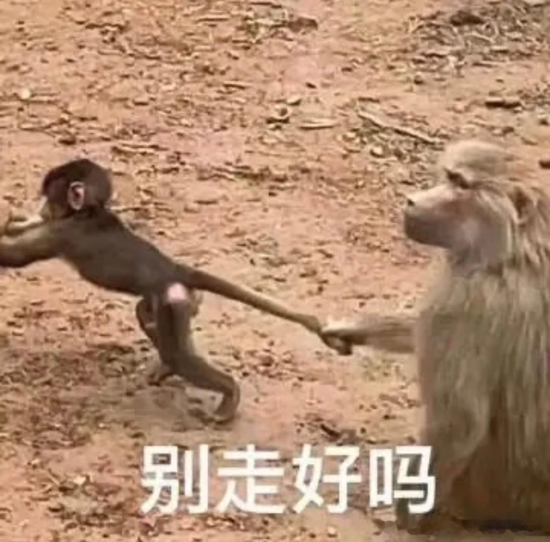 当女人真的好难，你们最近看没看美人余？易梦玲演了个女二女三这种，虽然是反派小三但