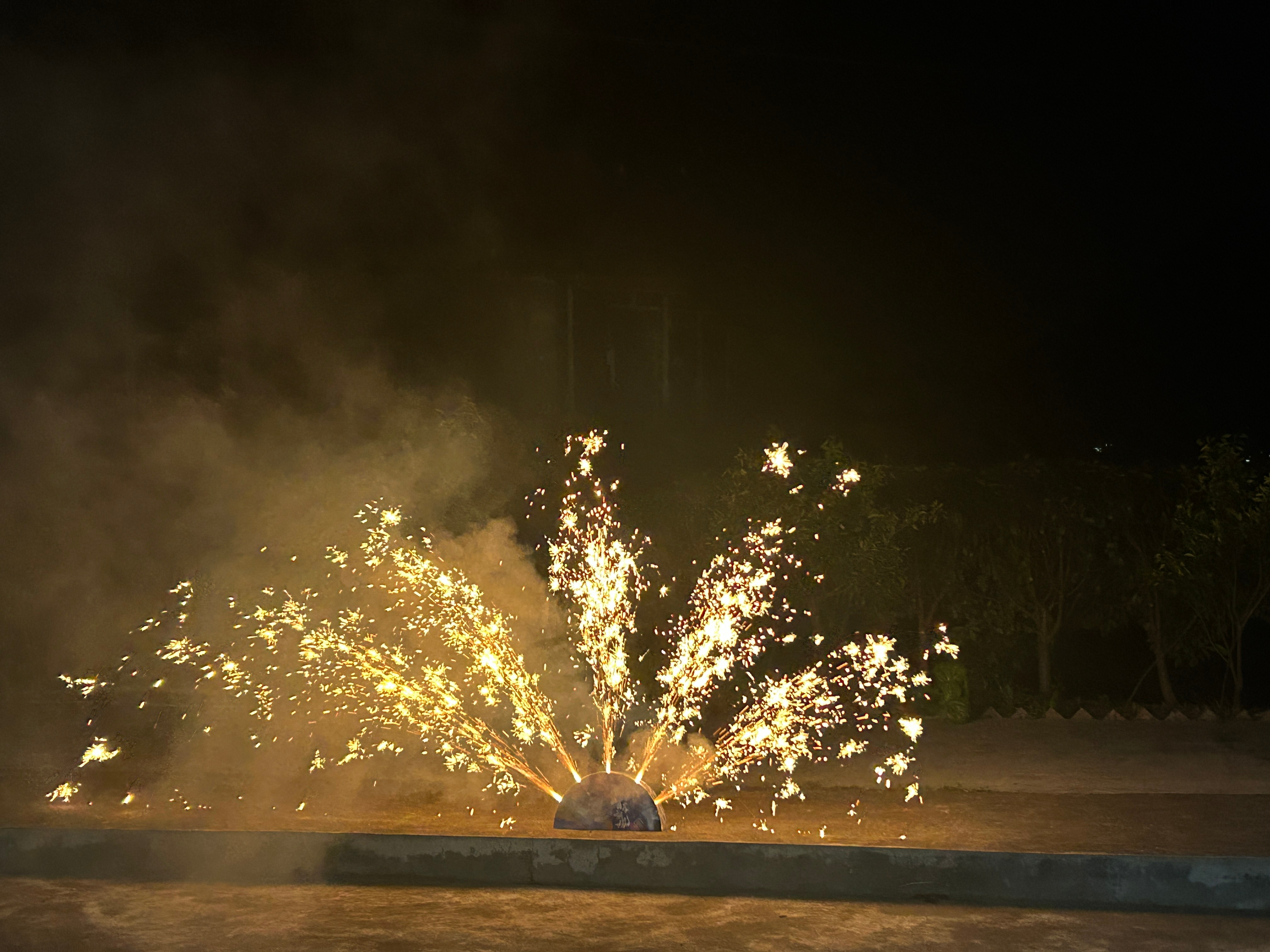 除夕的流水账，一早被小亮接去他家吃了顿热乎的团圆饭。下午回到自家，恰逢奶奶二周年