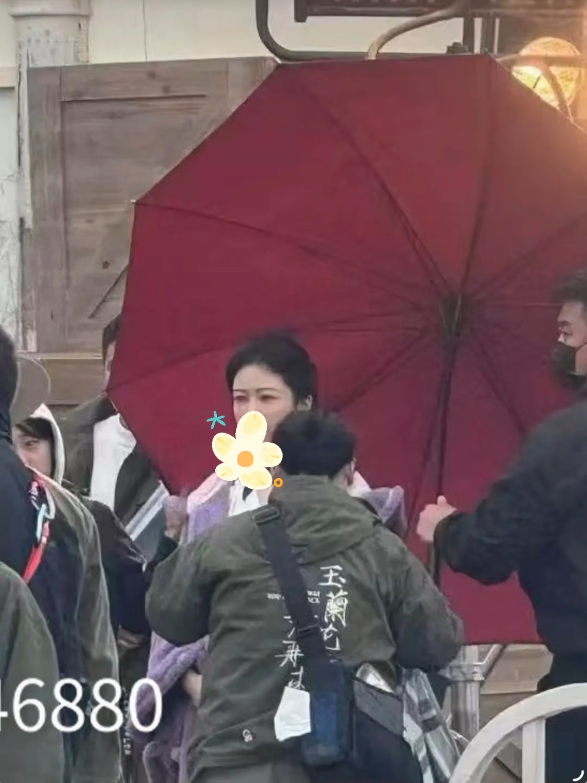 杨紫玉兰花开君再来 造型好看的 