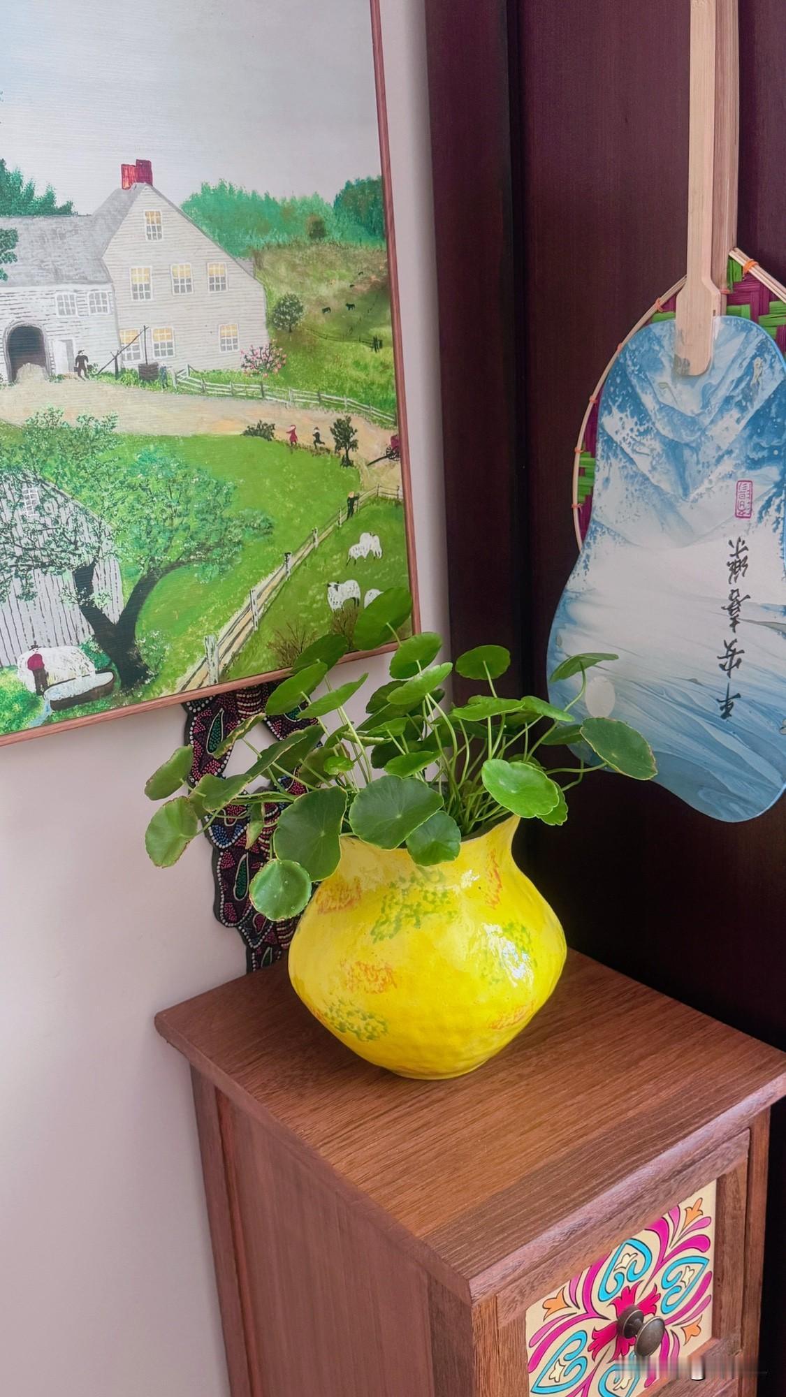 奶奶亲还是外婆亲？

刷到街头采访几个青少年，问：奶奶亲还是外婆亲？无一例外都说