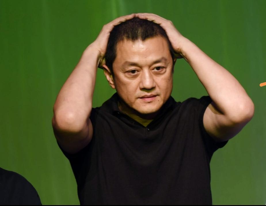 李亚鹏未来东山再起挺难的。曾经他是金鹰视帝，颜值高，演《笑傲江湖》《天下第一》时