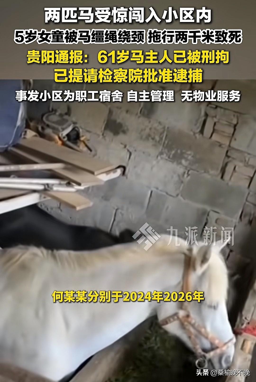气不打一处来！何某某的马棚居然离居民楼只有30米，被投诉后仍继续买马！何某某今年