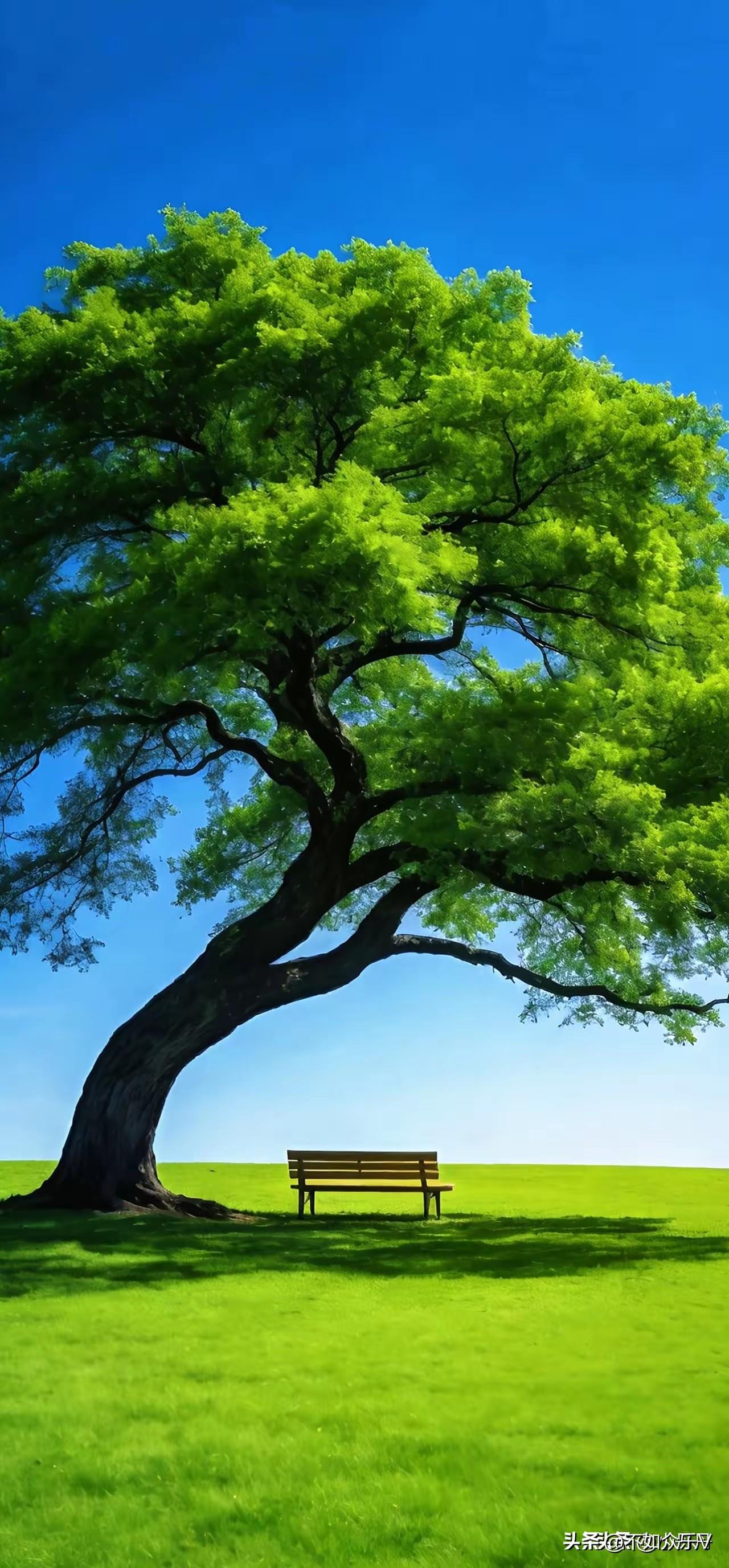 自我疗伤！

炒股真是太心痛了！亏钱的时候只能自我安慰，自我疗伤，自我调节。
