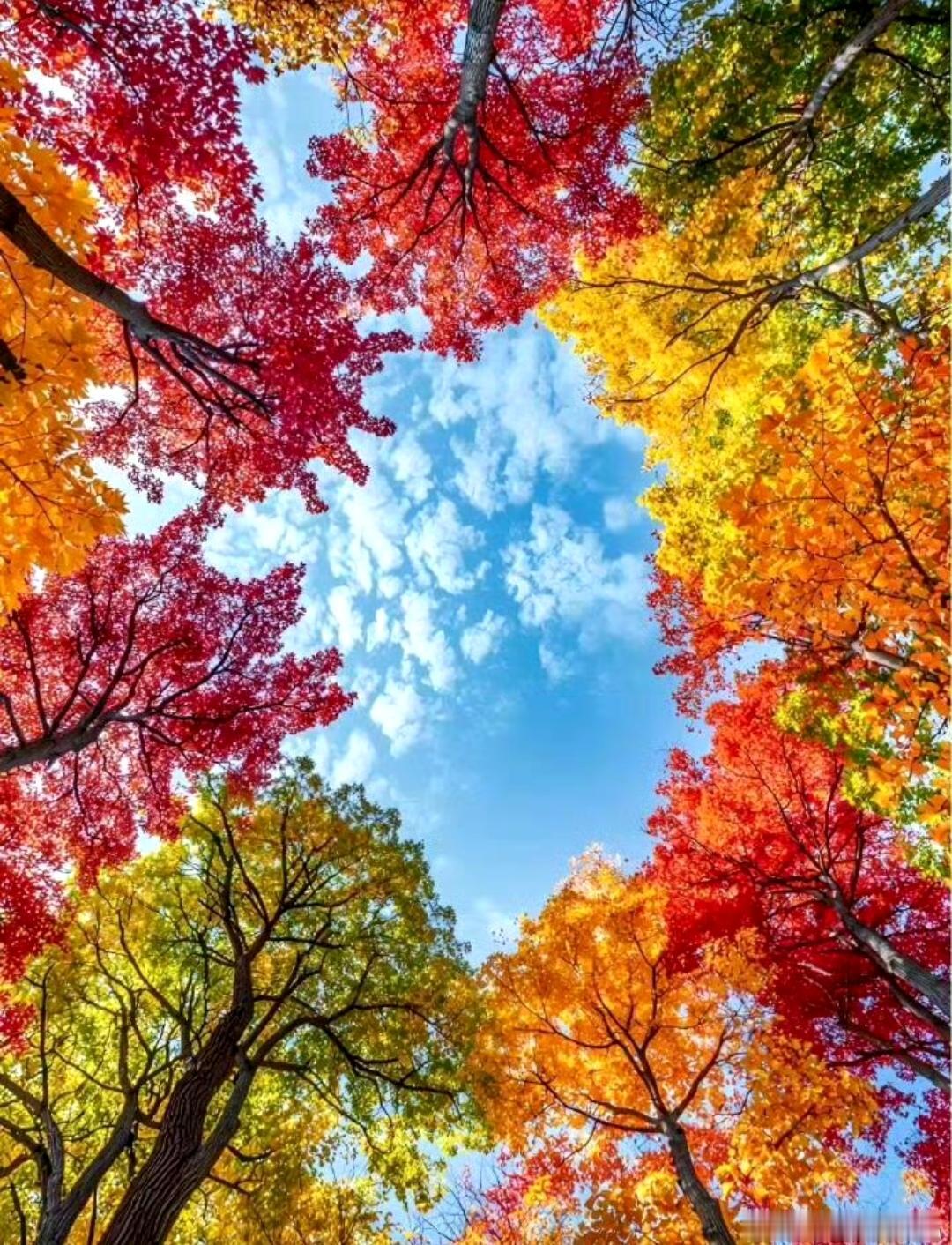 今日主力资金流入前10股票简析
 
1. 立讯精密：净流入14.30亿元，消费电