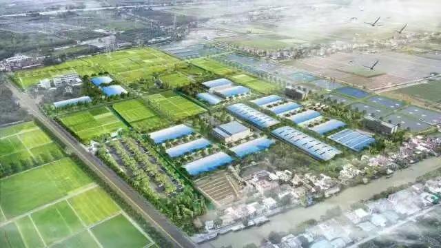 【签约两家产业头部企业！南沙这里要建设观赏鱼进出口产业集聚区】从南沙区农业农村局