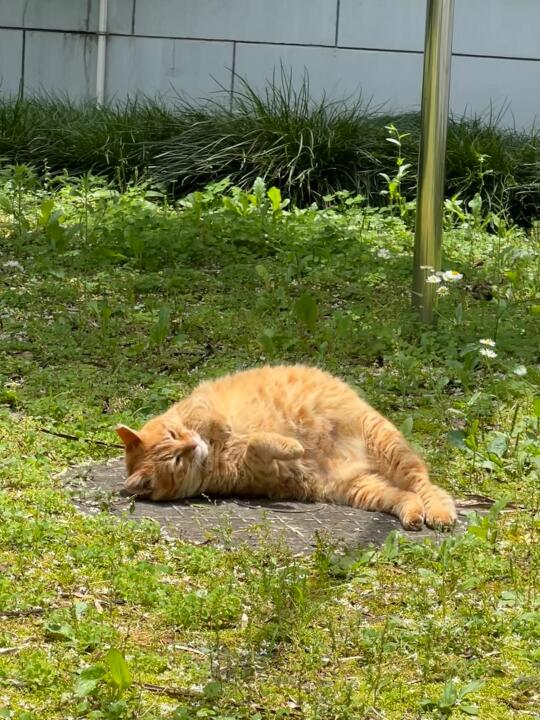 没时间了！抓紧晒晒吧！