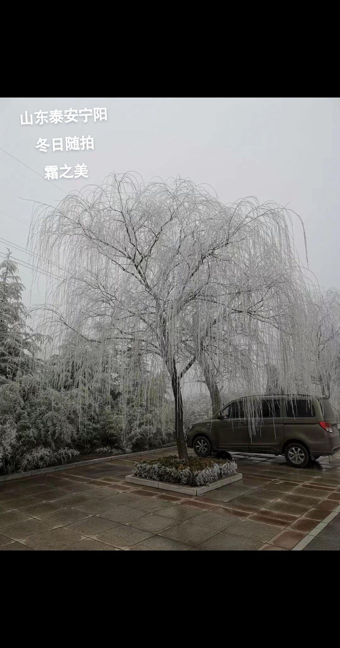 冬天 生活农村老家山东