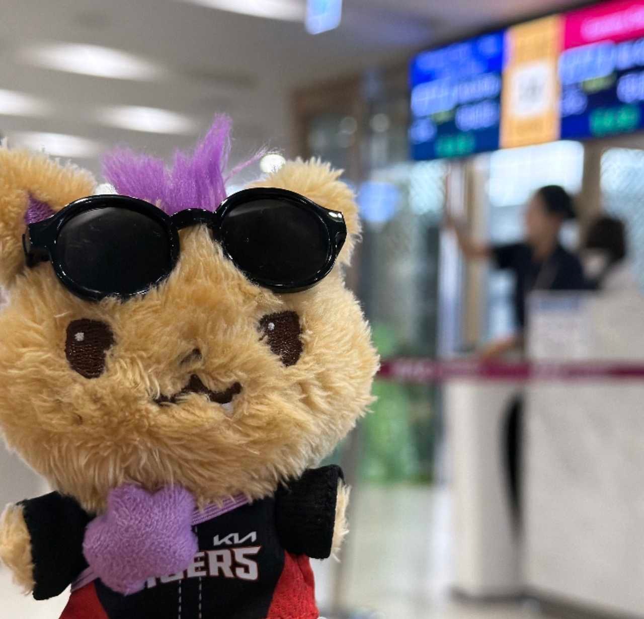 【tg】🕶️cool guy©️网页链接