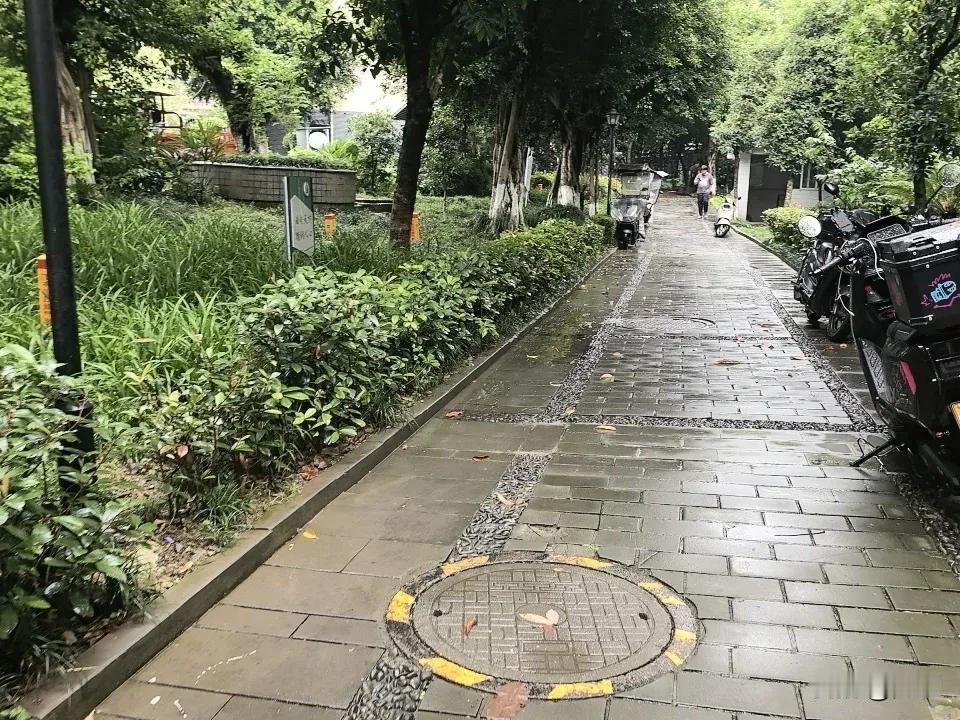 重庆最近空气质量好，湿度刚刚好。过几天就下一场小雨。而且基本上是晚上下。早上起来