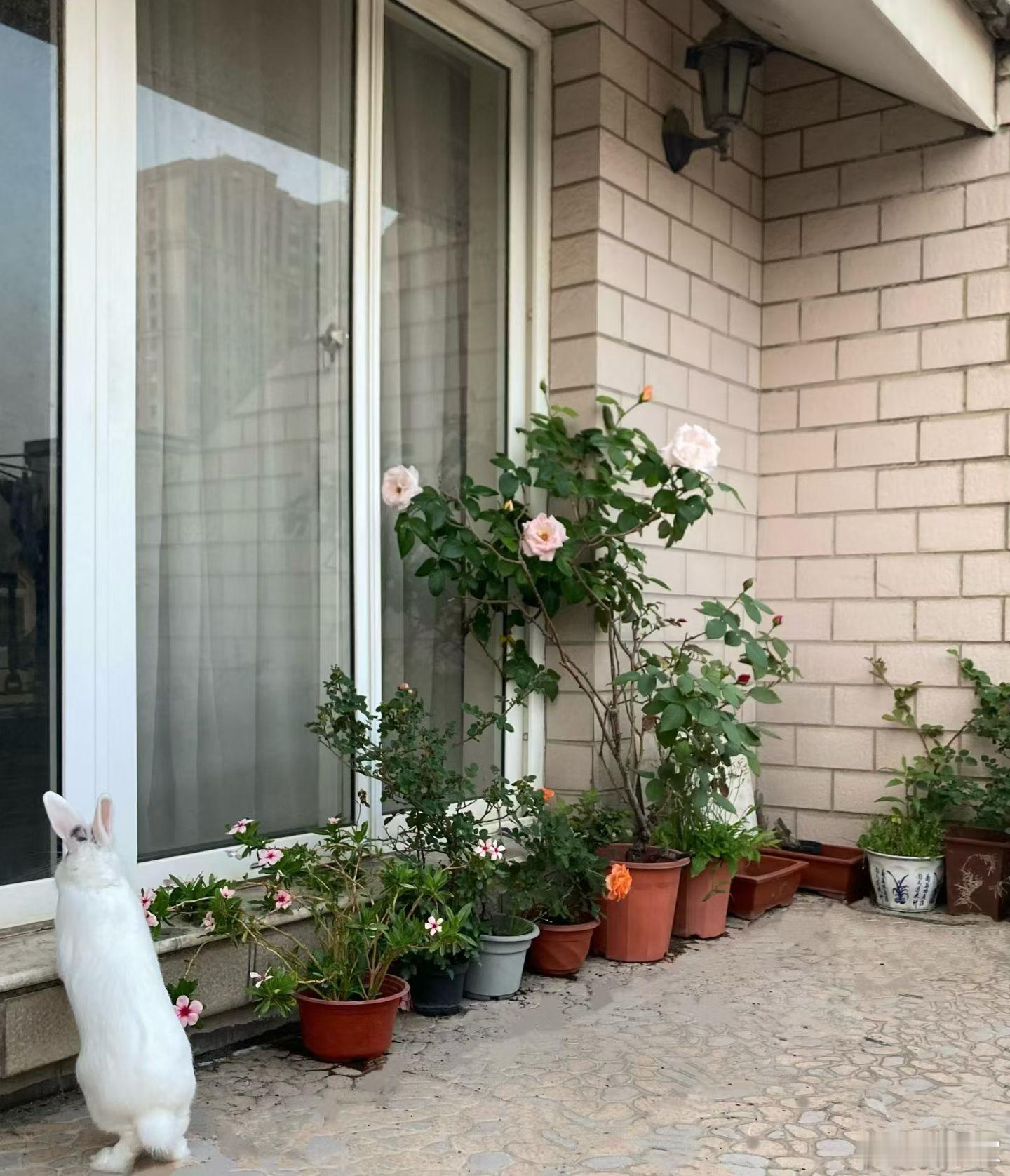 在喧嚣之外，找回最纯粹的自己