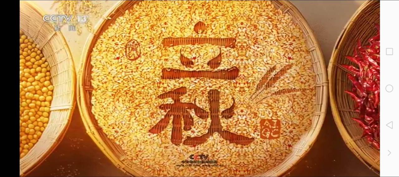 #民以食为天 #四季轮回 #国泰民安祈福 #愿人间皆安 #诸事呈祥 🌺🎉🎁