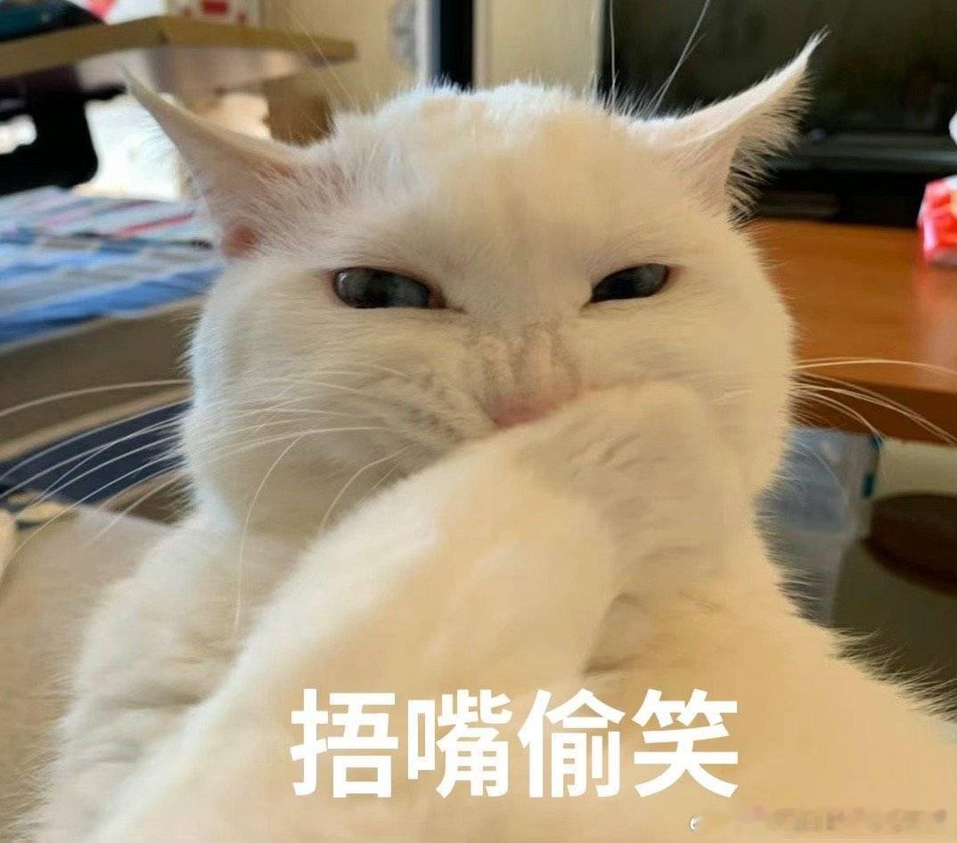 和赵老师商量好了，周末两天，我做一天饭他做一天饭我做啥他吃啥，他做啥我吃啥，谁都