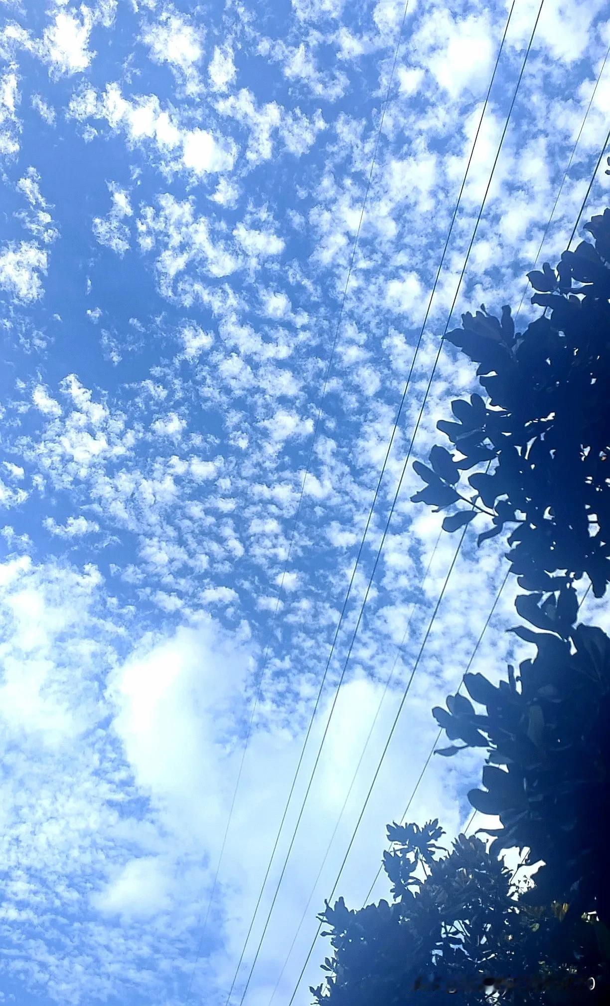 随手拍的天空，美得像幅画。炎炎的夏日里，淡蓝色的天空纯净又柔和，大朵大朵雪白的云