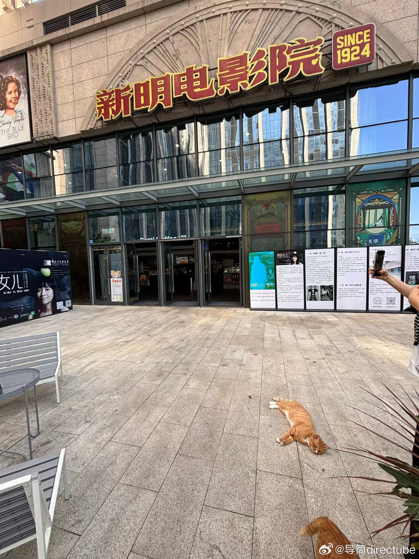成都的朋友留意，虹影执导的纪录片《河的女儿》今晚将在成影新明电影院（CINITY