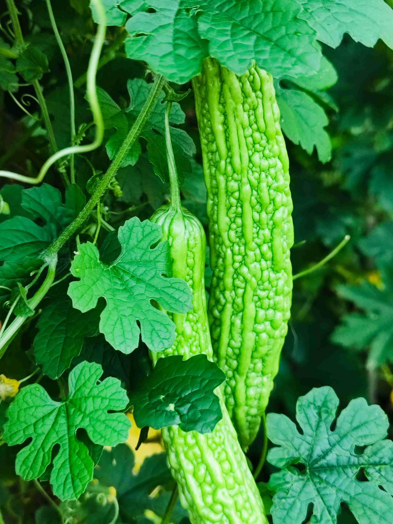 我的今日状态：😁轻松愉快
我这里的天气：🌤️多云

今日多云天气，22-32
