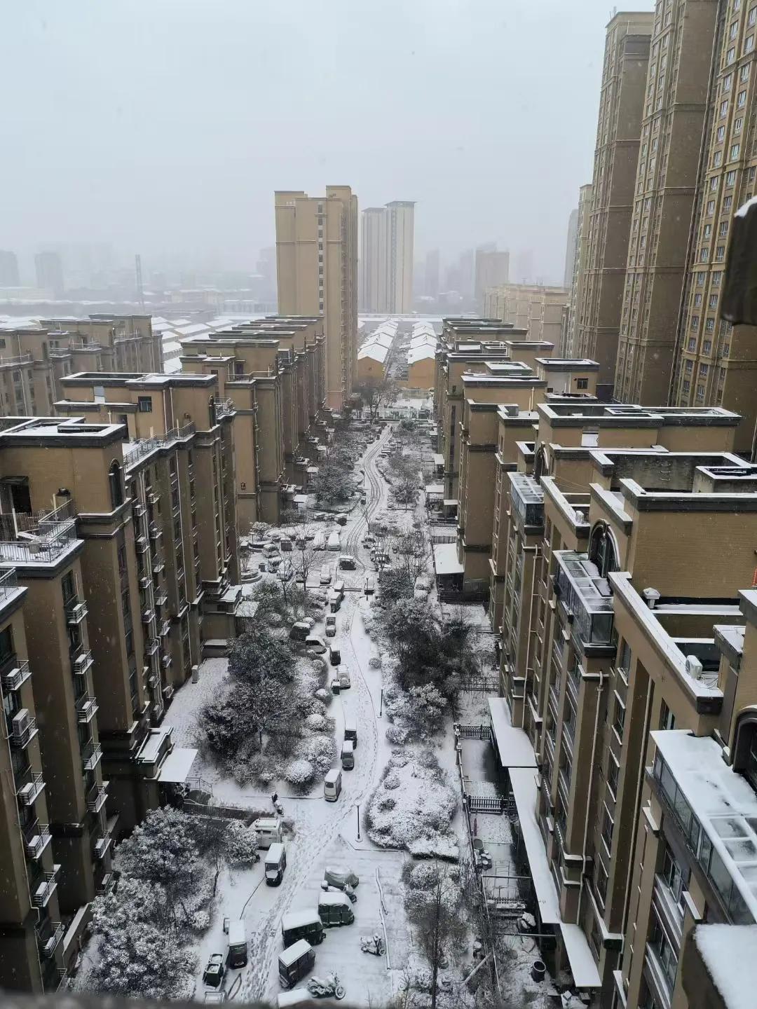 好美的豫东三月桃花雪！
   豫东三月的桃花雪，那真是一种奇妙的景象。
   桃