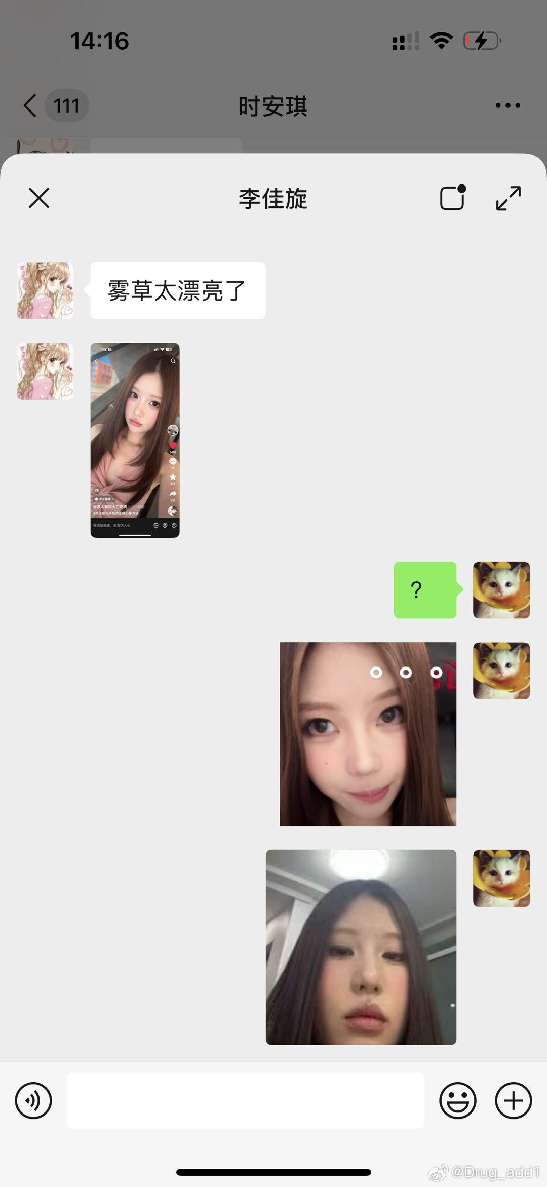 我就这样。在别人发我美照的时候自损一下 ​​​