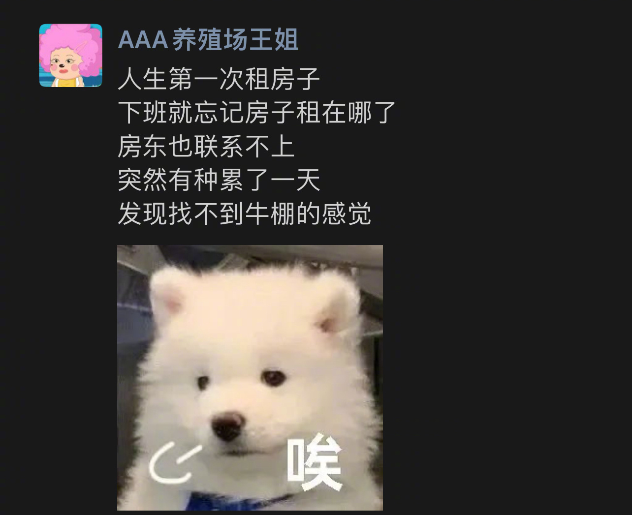 关于人生第一次租房子我的幽默灵感片场 ​​​