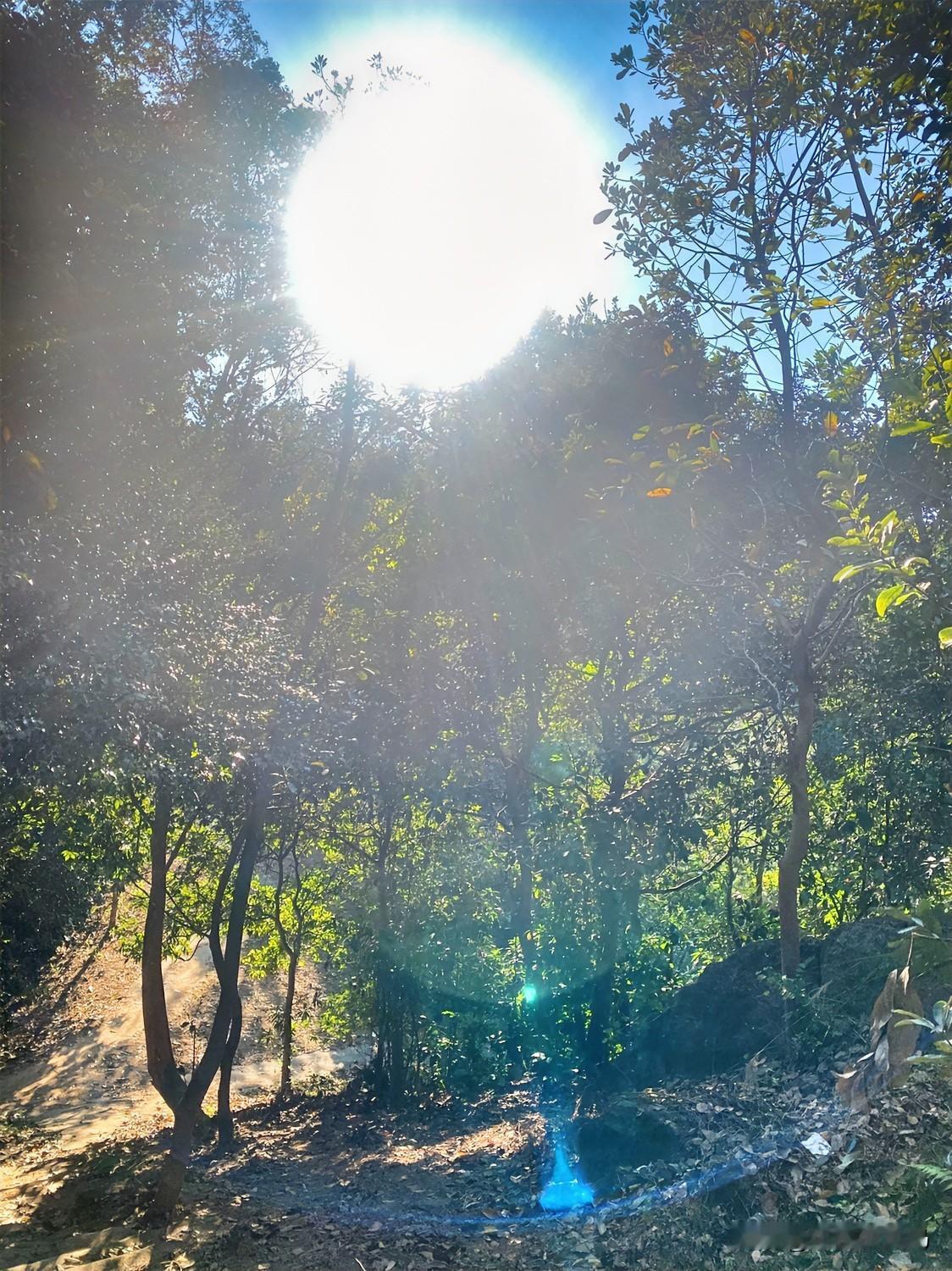 好久没爬山了，今天闲着没事儿，干脆跟闺女一块儿来走走。出门就感觉这天气也太舒服了