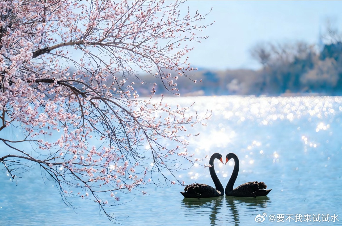 三日光阴倏忽而过，北京连日大风，却也吹得天色碧空如洗，澄澈透亮。只是风过处仍带寒