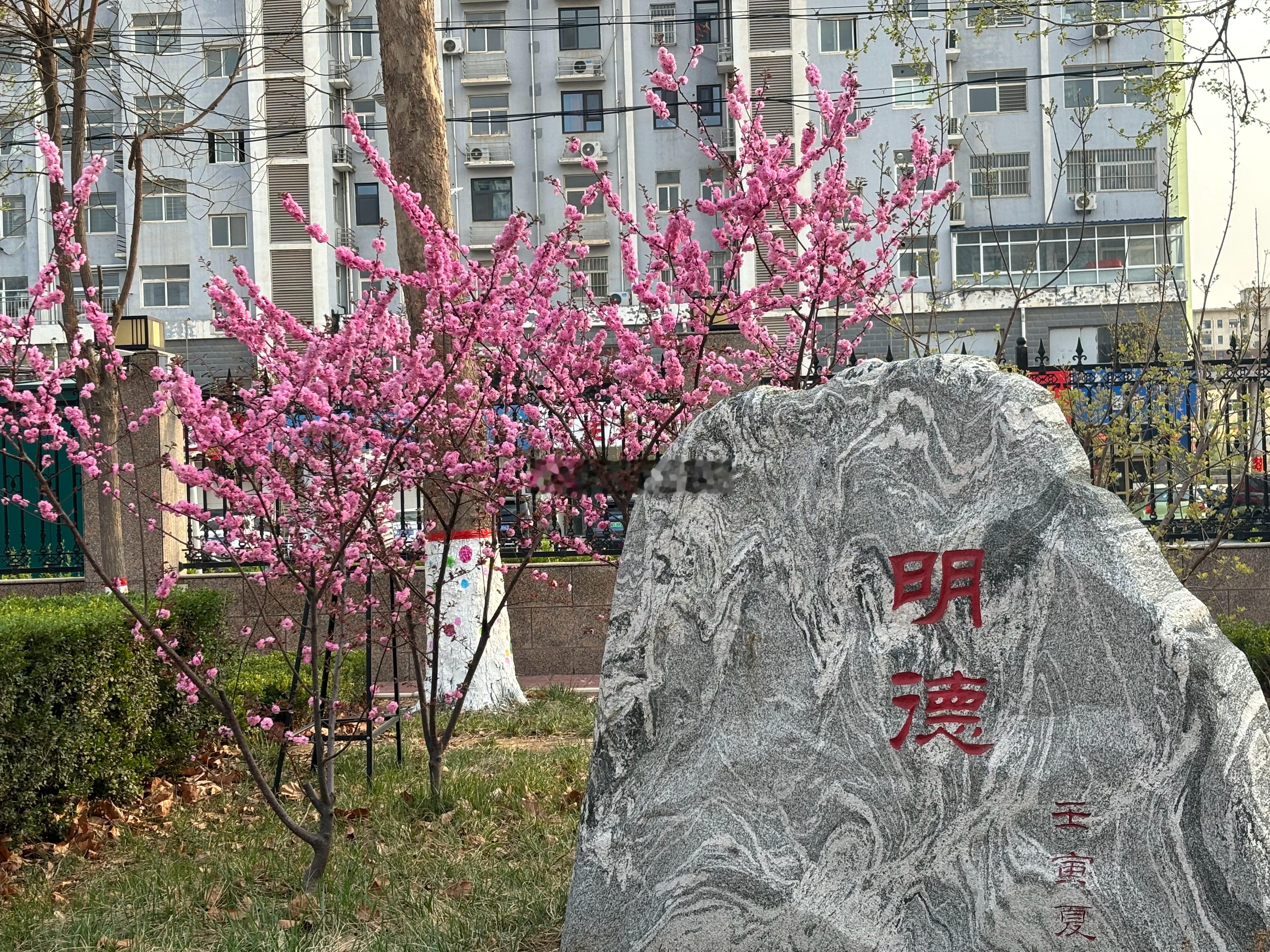 陈赫给Angelababy刷礼物Angelababy的榜一是陈赫校内设施完备齐全