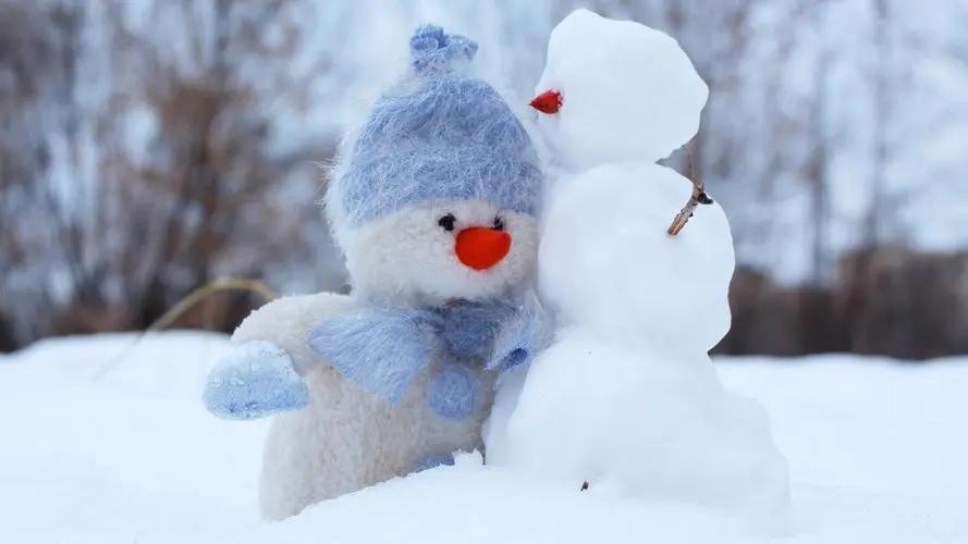 大雪到来的时候，几乎每个地区都有自己的民俗美食：
 
在东北，一般到了大学这一天